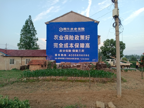 贵定墙体广告的优劣势你知道吗?